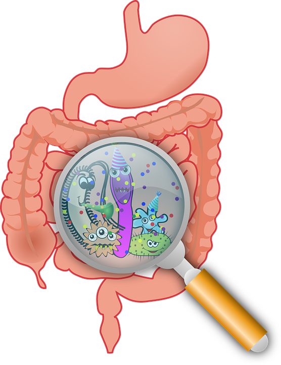 La salute dell'intestino: come mai è così importante? 